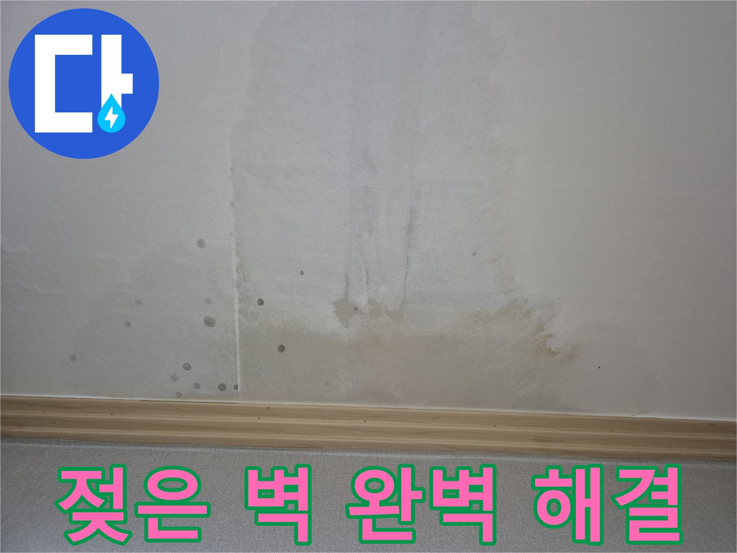 젖은 벽 완벽 해결 - 숙련된 기술로 완벽하게 시공하는 모습