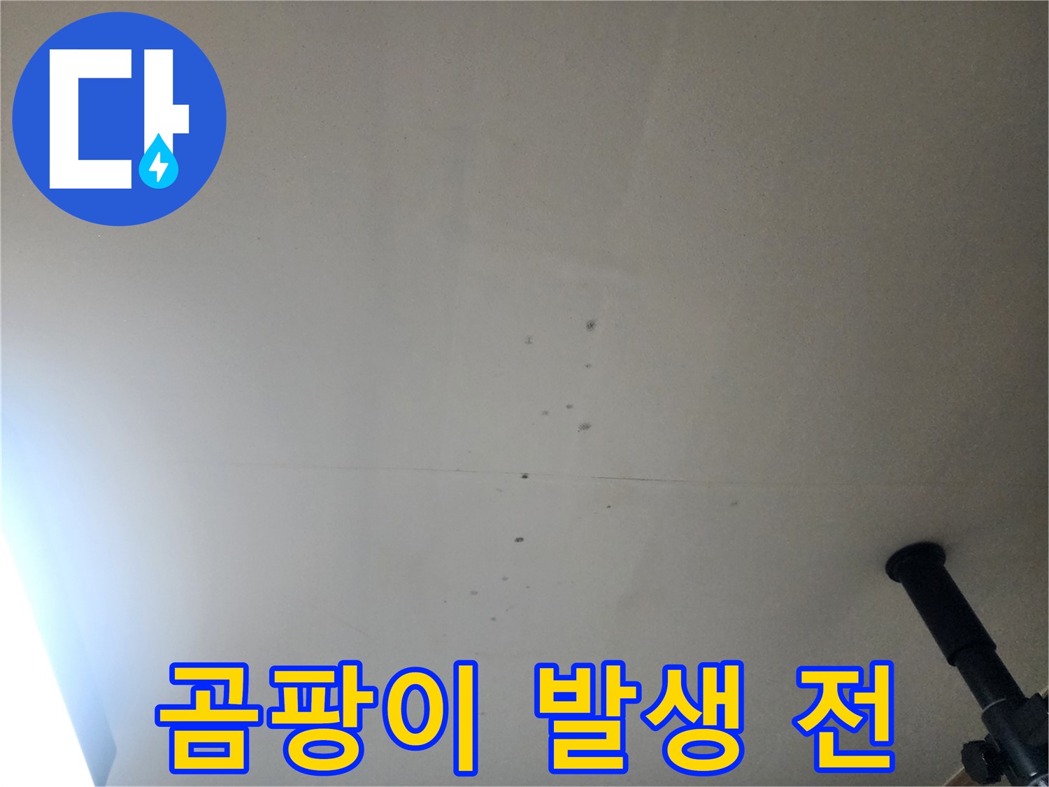 곰팡이 발생 전 - 곰팡이가 생기기 전에 누수 진단을 받는 것이 중요합니다.