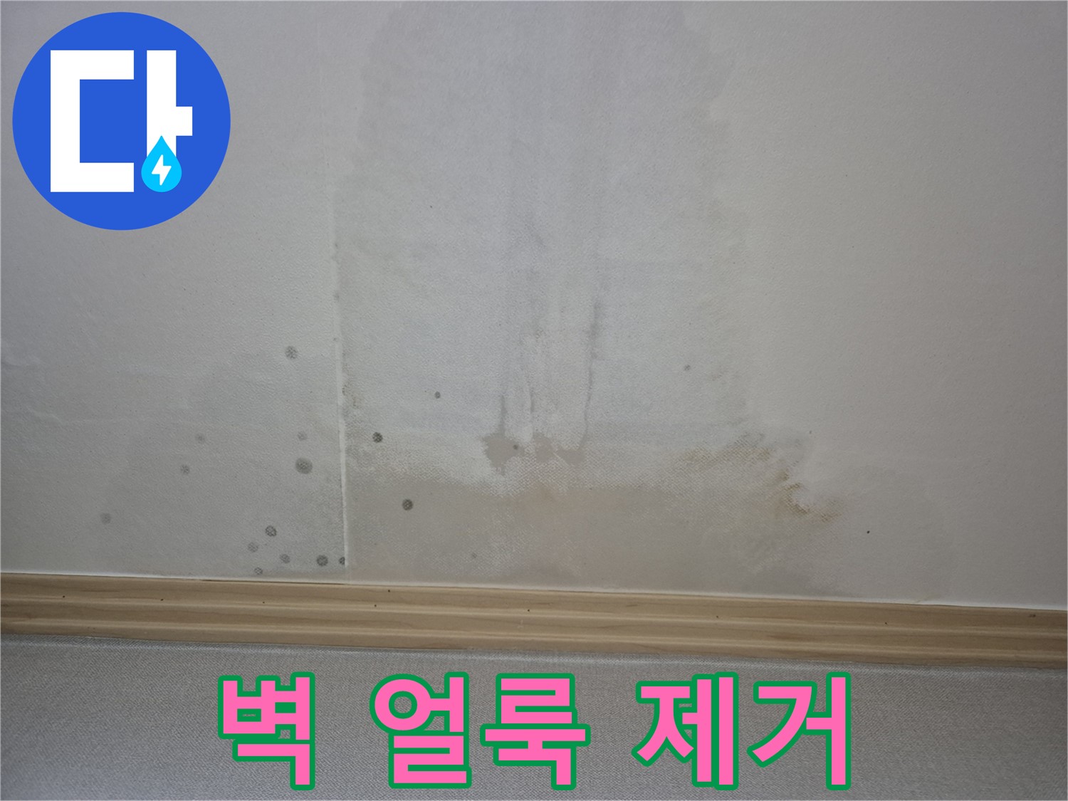 벽 얼룩 완벽 제거 - 숙련된 기술로 깨끗하게 시공하는 모습