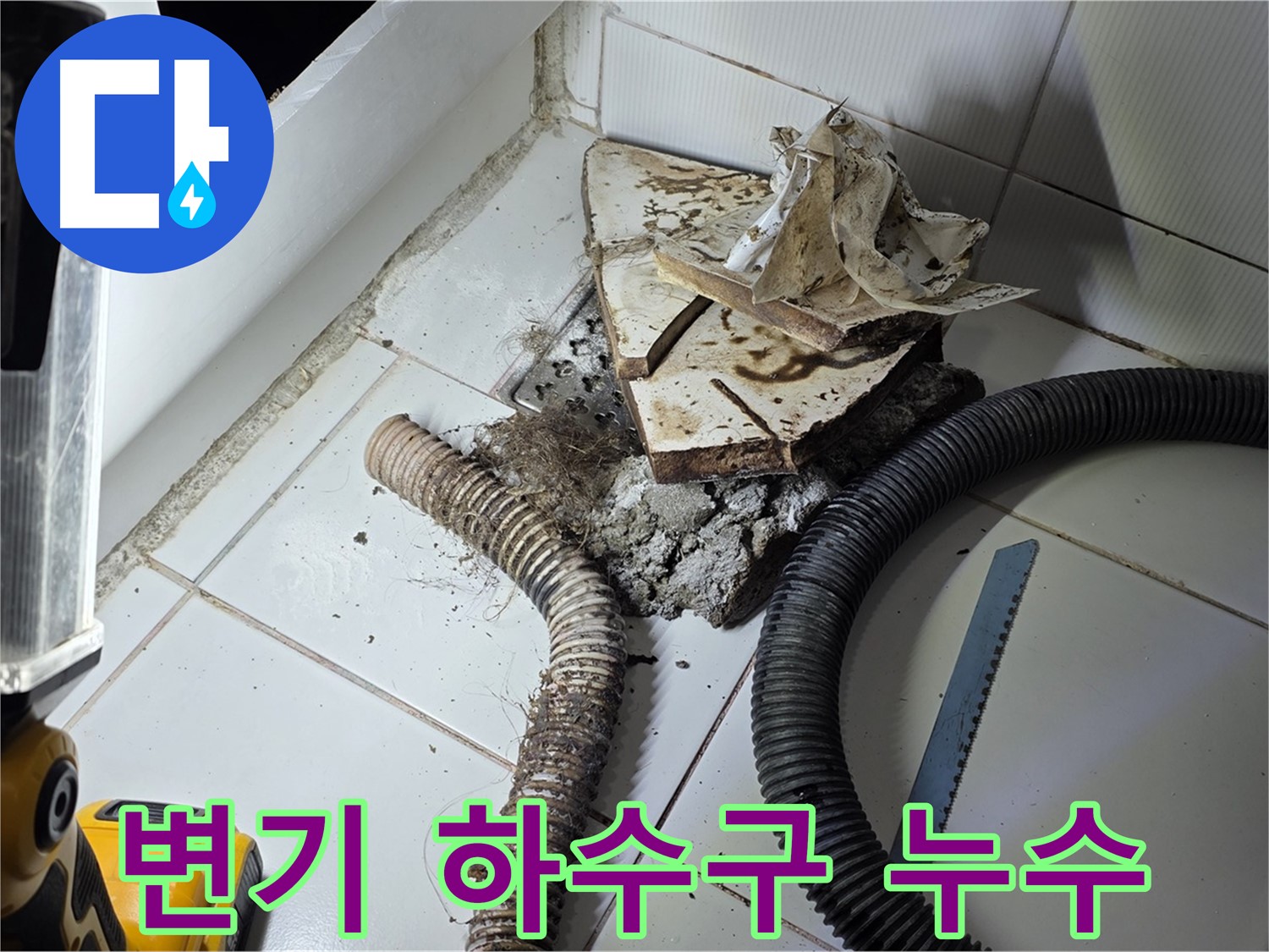 일산 가좌동 변기 누수 - 문제의 하수구 주변을 집중적으로 점검하는 모습