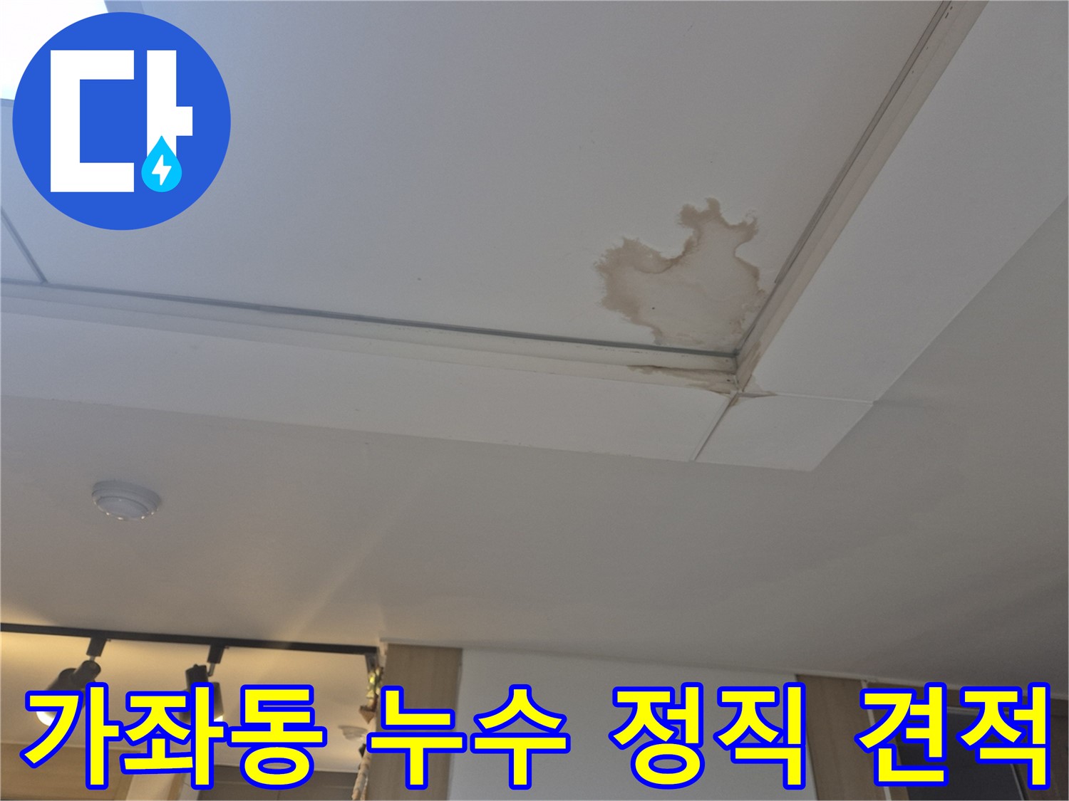 일산 가좌동 천장 누수 - 투명하고 정직한 견적 - 믿을 수 있는 비용