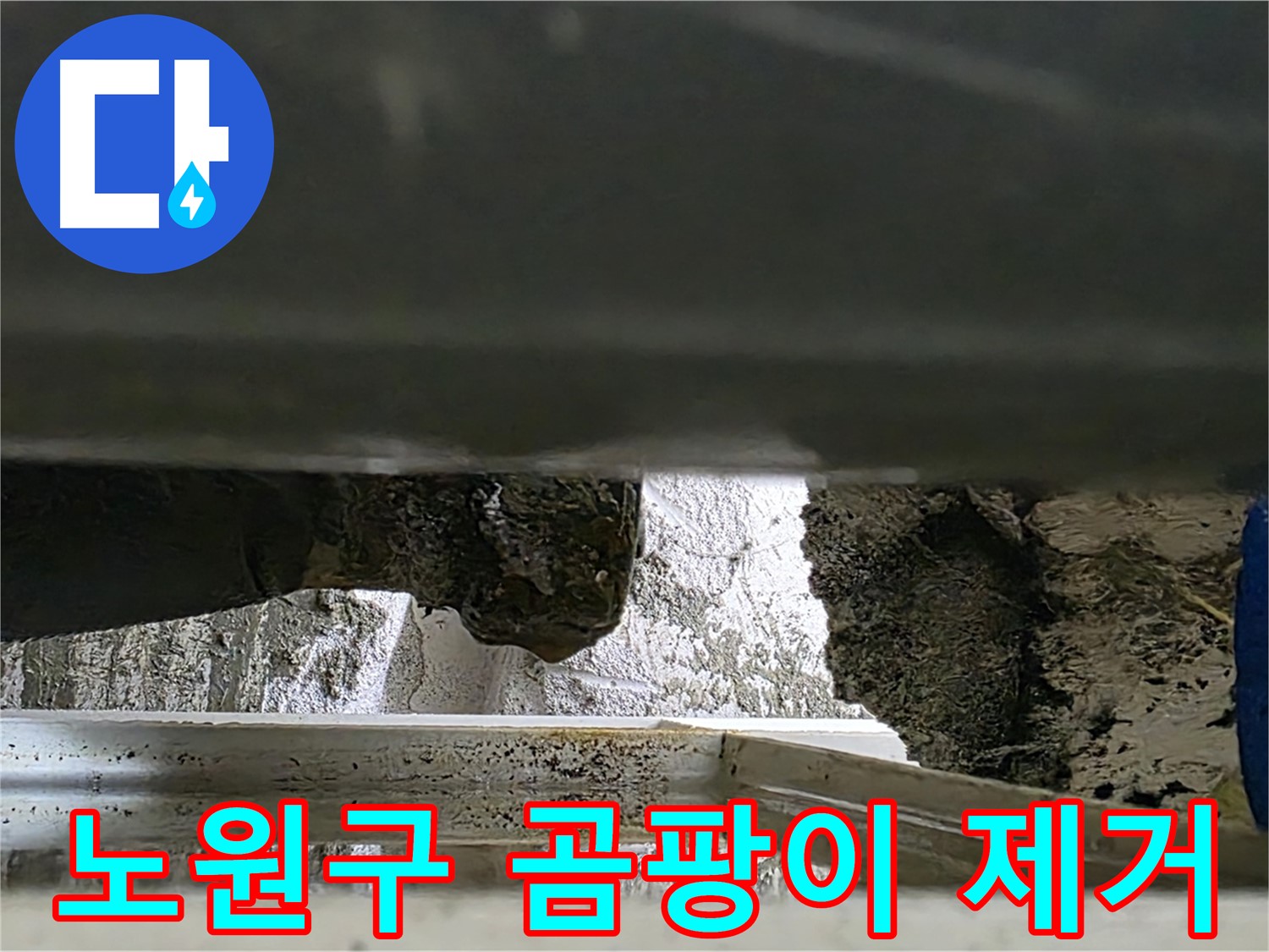노원구 아파트 누수 - 곰팡이 제거와 누수 해결을 동시에