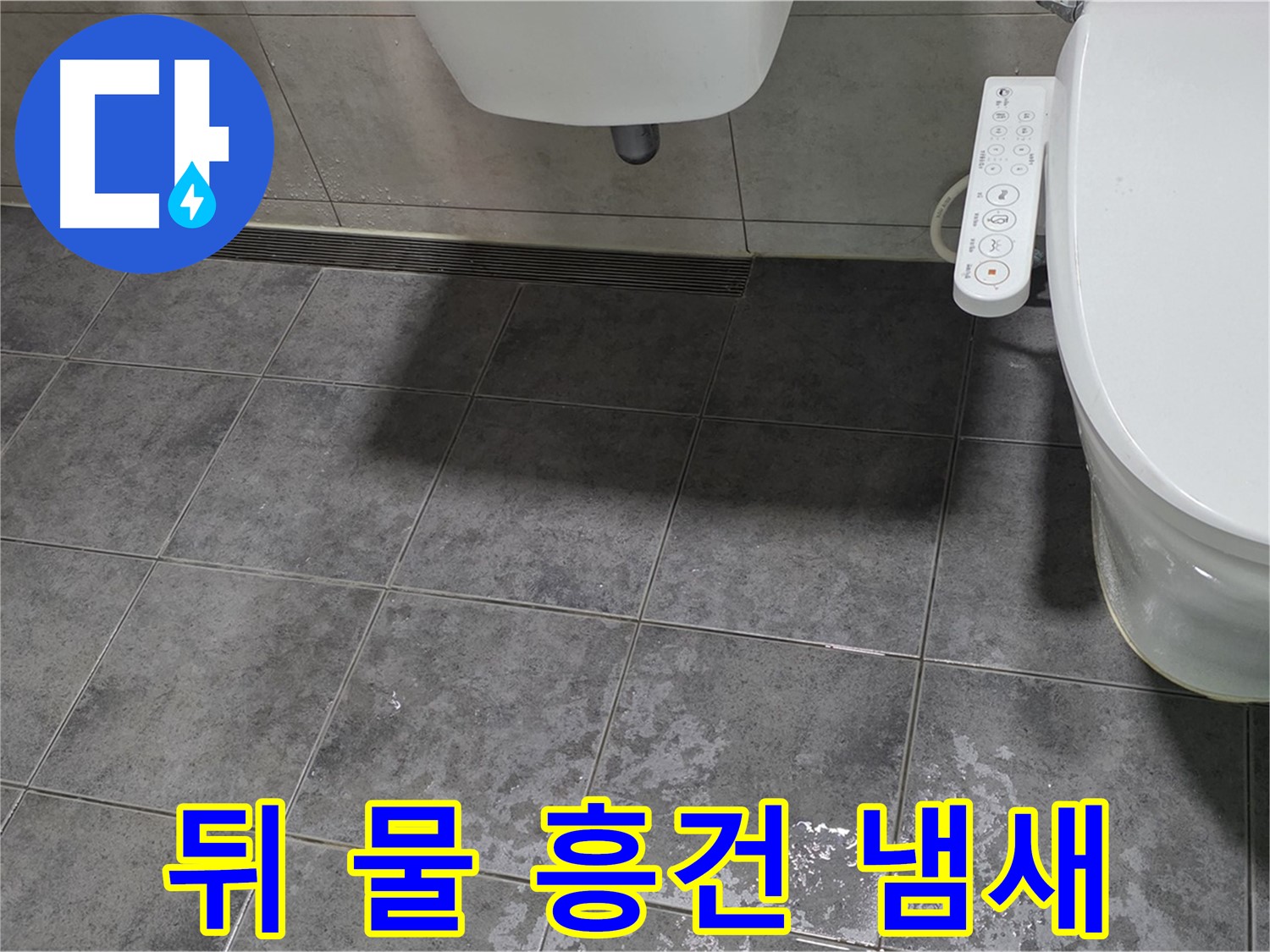 노원구 중계동 - 변기 뒤쪽 물 흥건 - 곰팡이 냄새 - 건강 위협