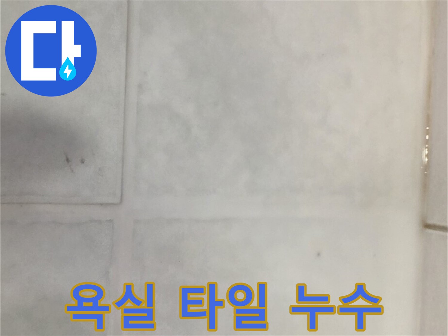 과천 누수 해결 - 오래된 욕실 타일 누수 완벽 차단