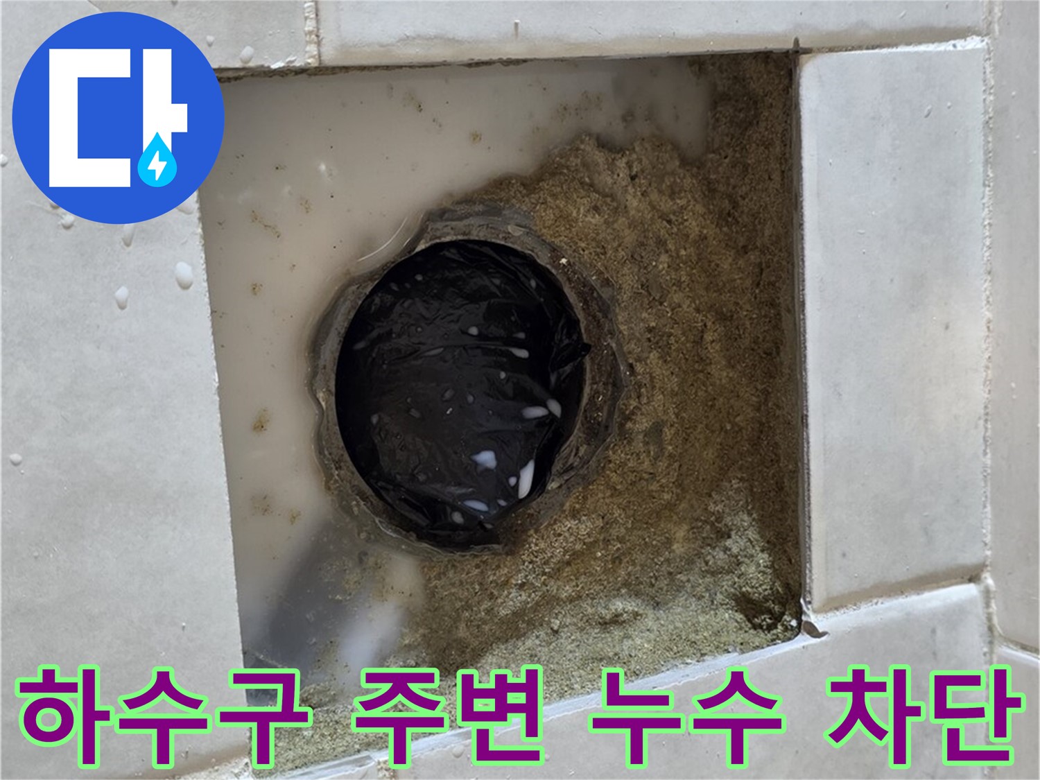 과천 문원동 욕실 하수구 주변 누수 - 낡은 하수구 주변의 물기, 신속한 누수 진단과 완벽한 차단