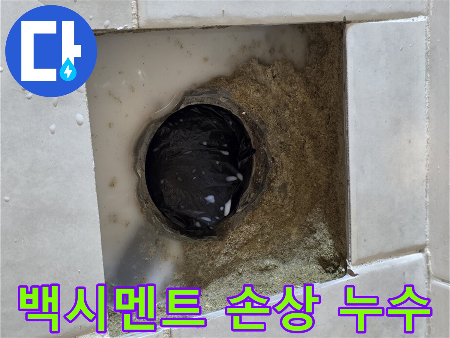 과천 문원동 욕실 하수구 주변 백시멘트 손상 누수 - 손상된 백시멘트 틈새의 물기, 꼼꼼한 점검과 완벽한 해결