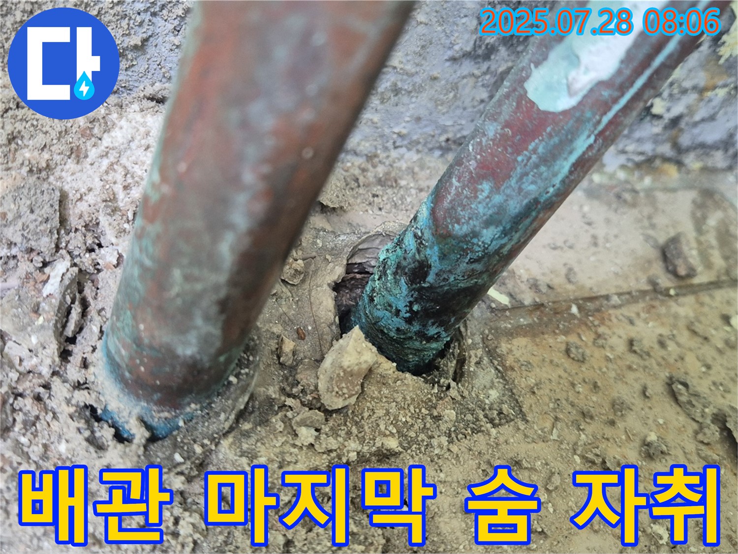 남양주 화도읍 두산아파트 누수 - 낡은 배관의 마지막 숨결은 멈춰진 시간 속 아파트의 잊혀진 자취를 보여주는 듯합니다.