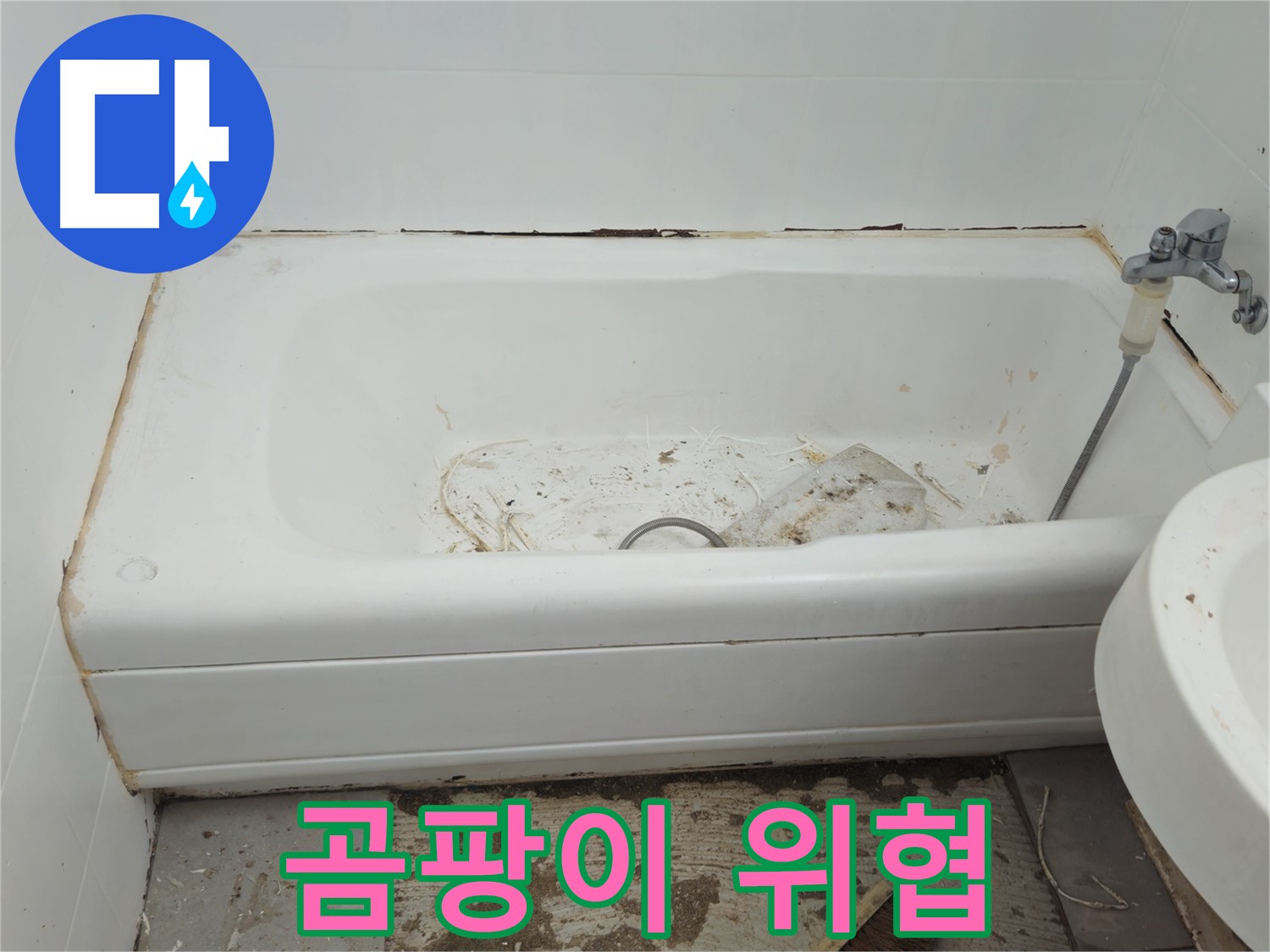 남양주 화도읍 아파트 욕조 곰팡이 - 건강까지 위협