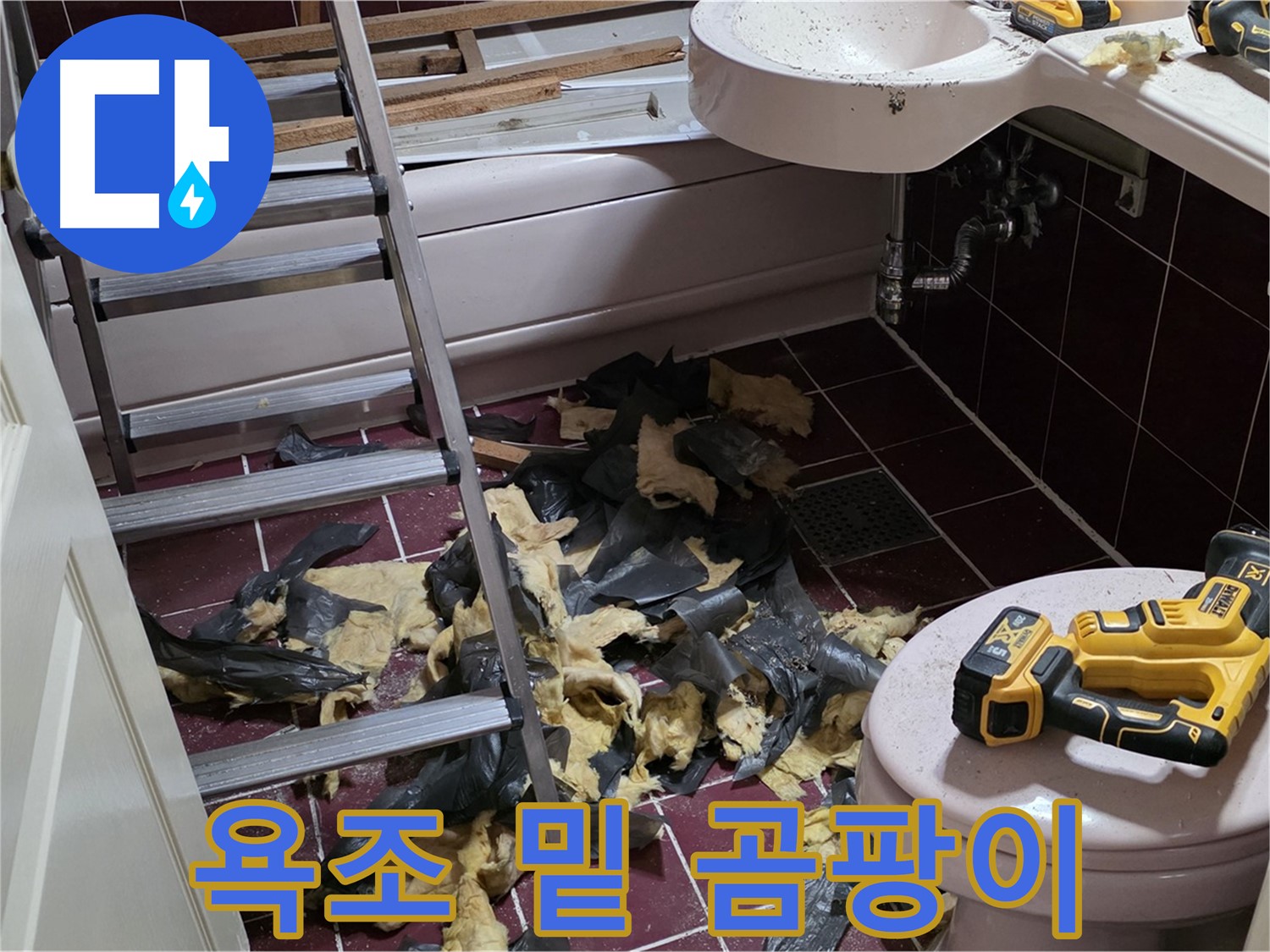 화도읍 두산아파트 욕실 낡은 욕조 밑에 숨겨진 곰팡이 아지트 발견
