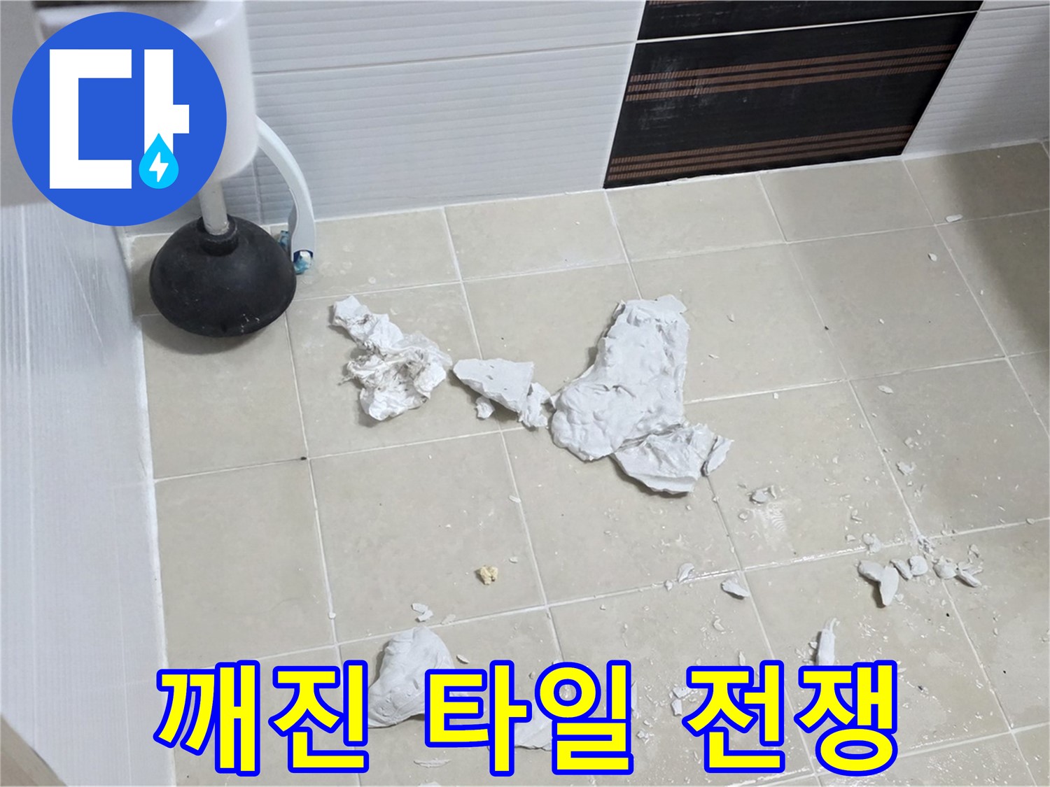 고양시 덕양구 동산동 깨진 변기 타일 - 누수와의 전쟁을 선포합니다!