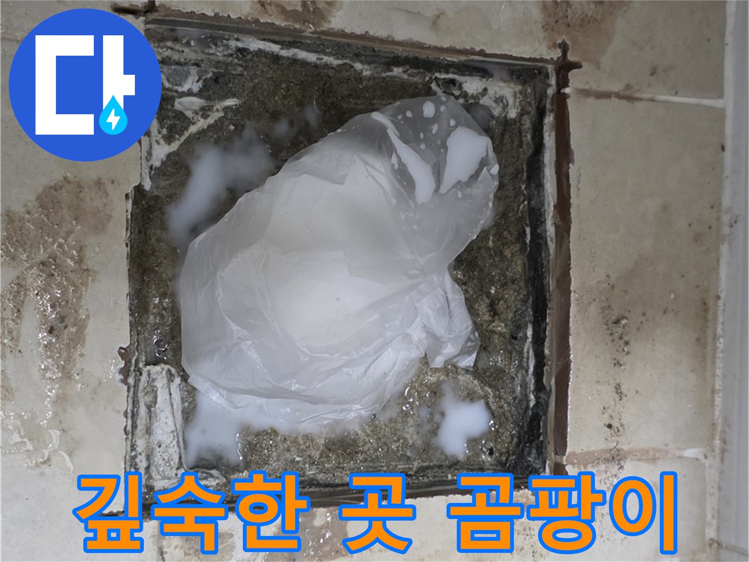 고양시 덕양구 욕실 바닥 누수 - 배수구 주변 깊숙한 곳까지 번진 곰팡이