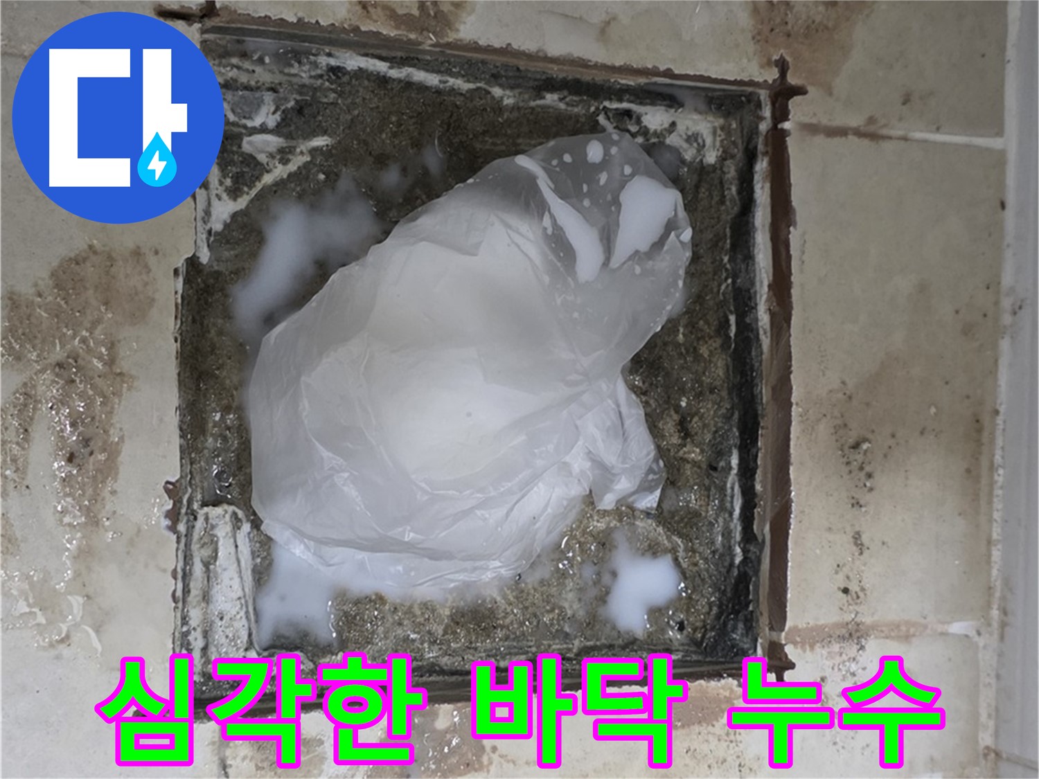 고양시 덕양구 욕실 바닥 심각한 누수 - 꼼꼼한 점검과 책임 시공
