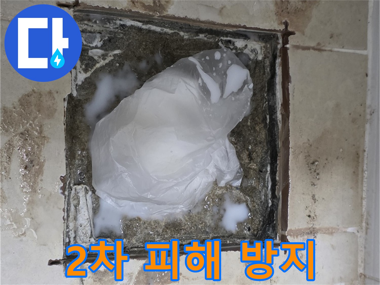 동산동 욕실 배수구 누수 - 2차 피해 확산 방지가 최우선