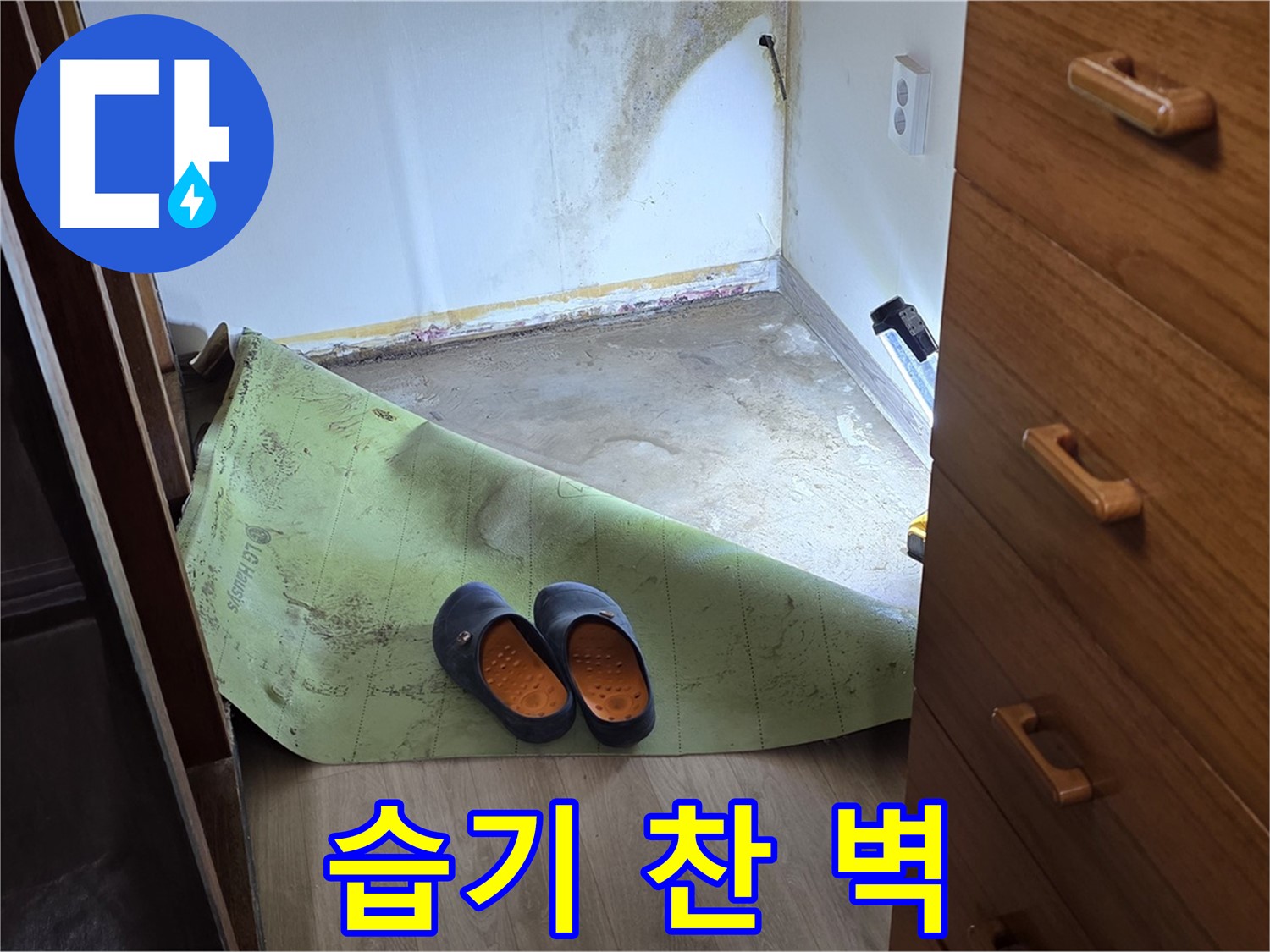 습기로 가득 찬 벽 - 누수 문제의 심각한 증거
