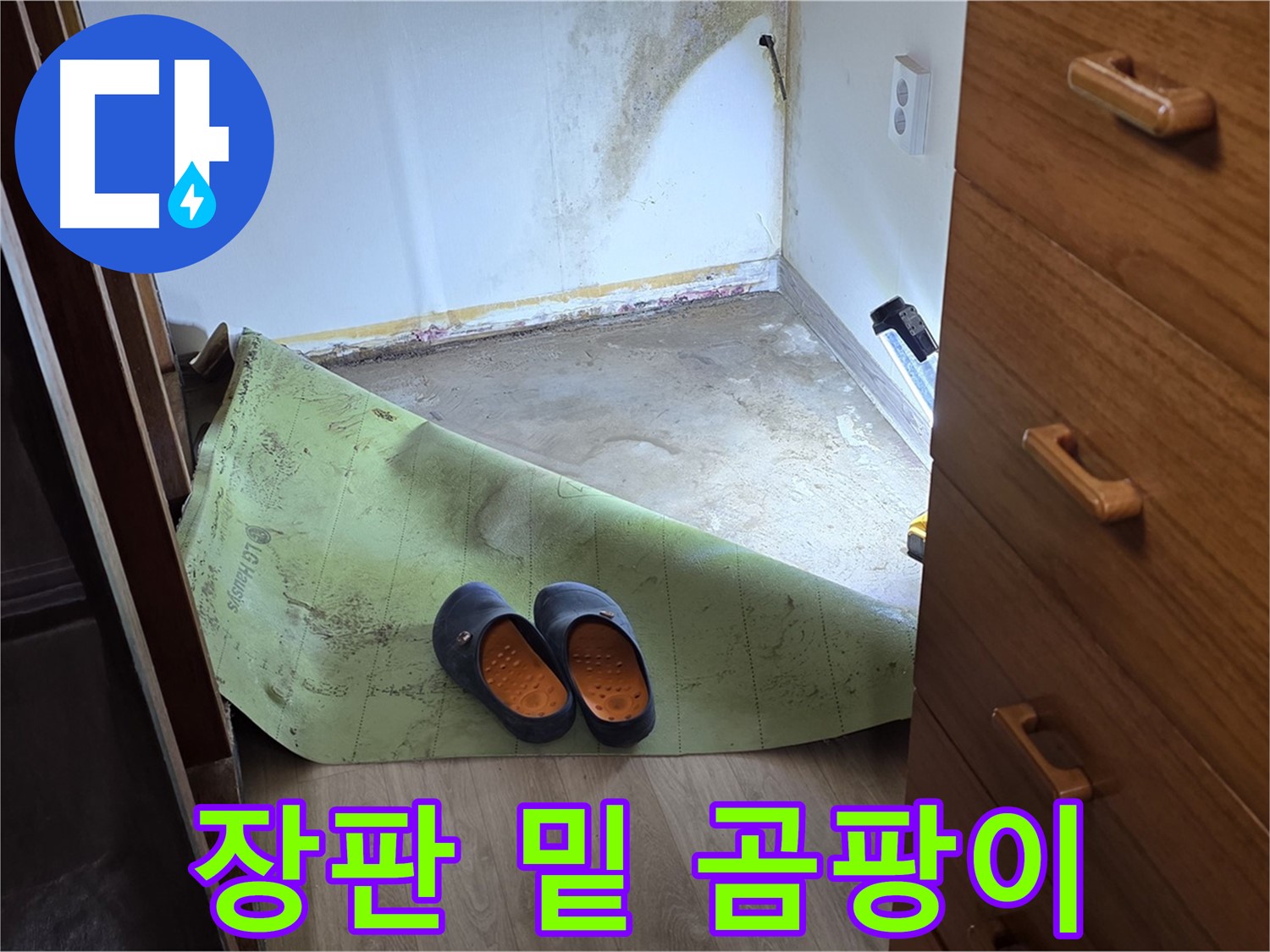 옥인동 주택 장판 밑 곰팡이 누수 - 건강 위협