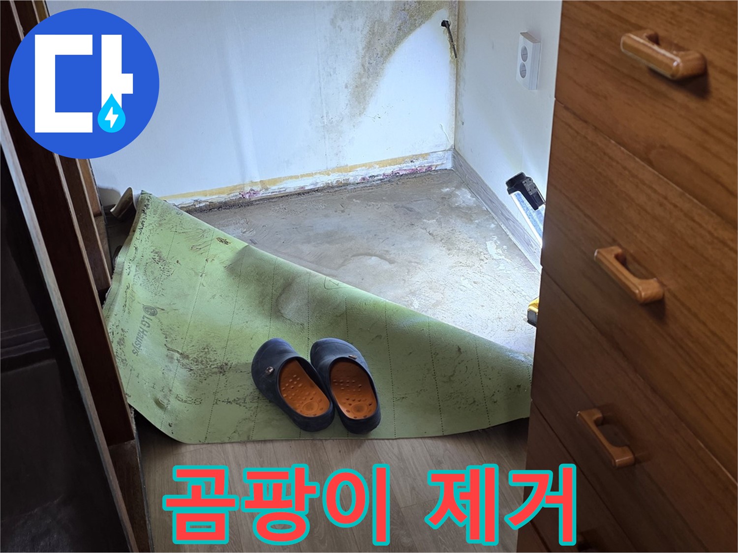 옥인동 주택 - 장판 밑 곰팡이 제거 - 완벽 해결