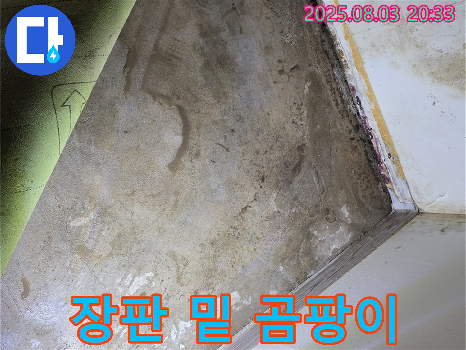 자하문로19길 주택 - 장판 밑 곰팡이 누수 - 정밀 탐지