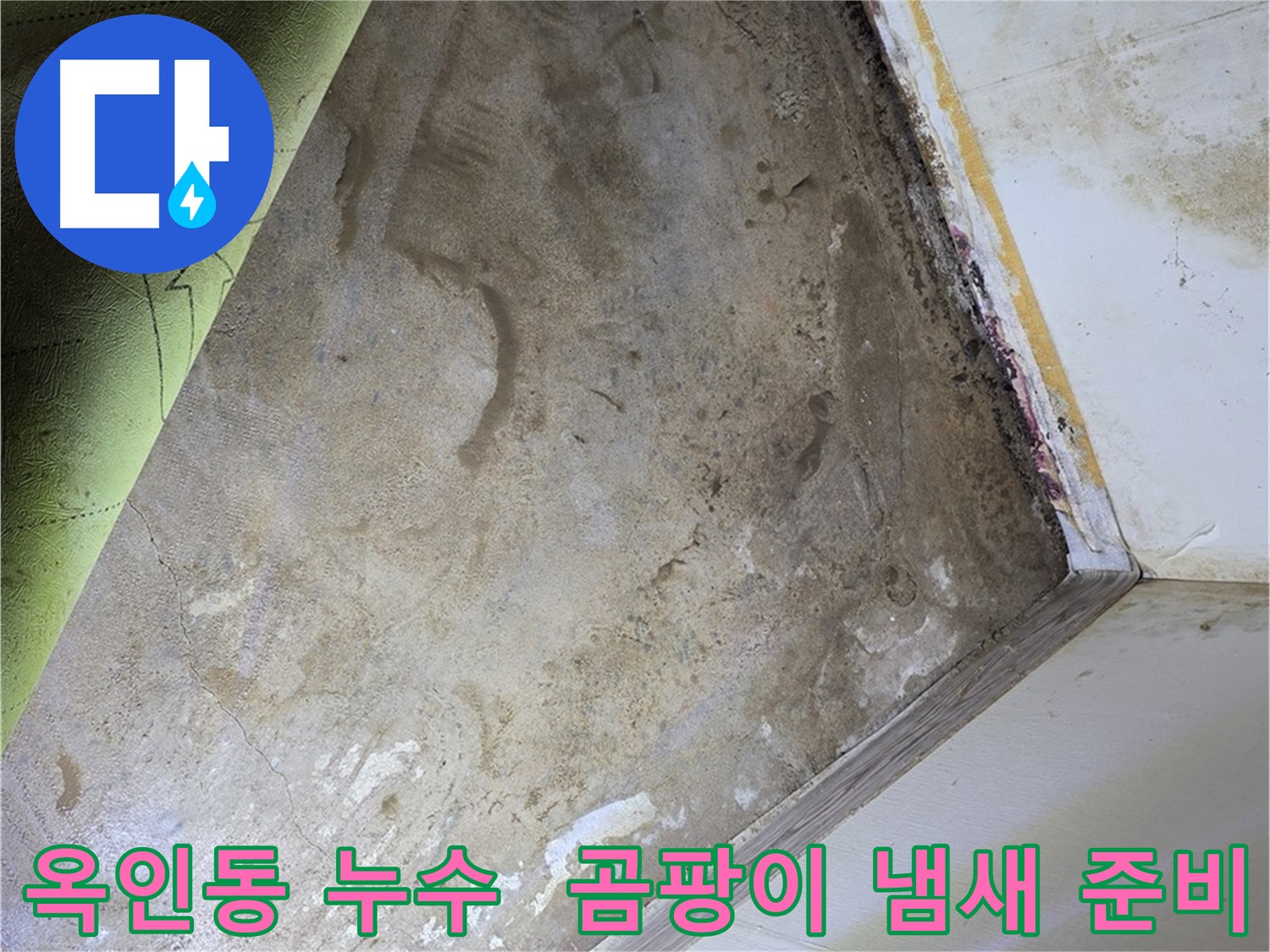 장판 밑 곰팡이 냄새 - 옥인동 냄새 제거 준비