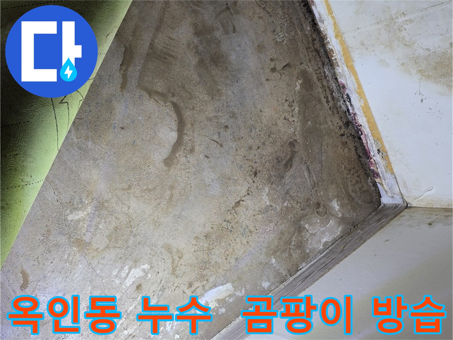 장판 밑 곰팡이 - 옥인동 곰팡이 제거 및 방습 시공