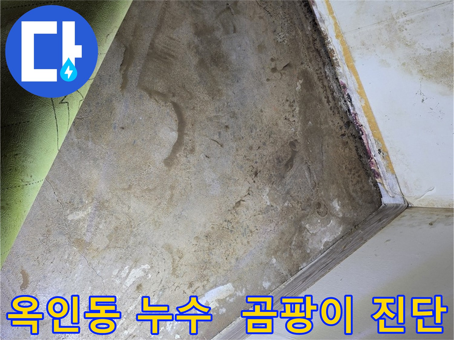 장판 밑 곰팡이 - 옥인동 곰팡이 제거 첫걸음은 진단