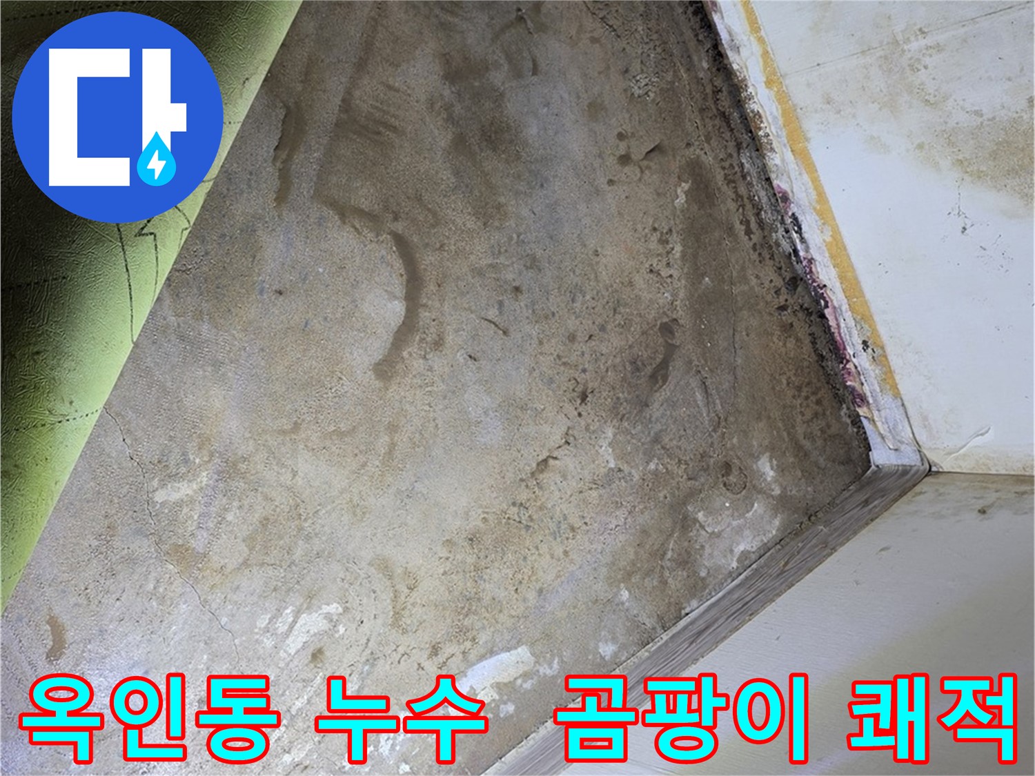 장판 밑 곰팡이 - 옥인동 쾌적한 환경 시작