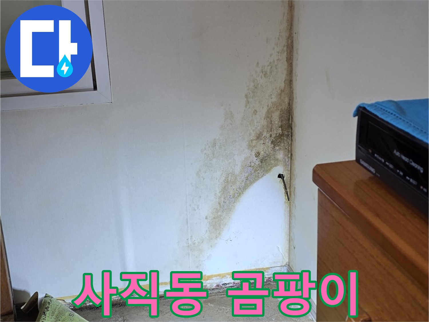 종로구 사직동 누수 - 곰팡이 알레르기 유발 - 꼼꼼 점검 필요