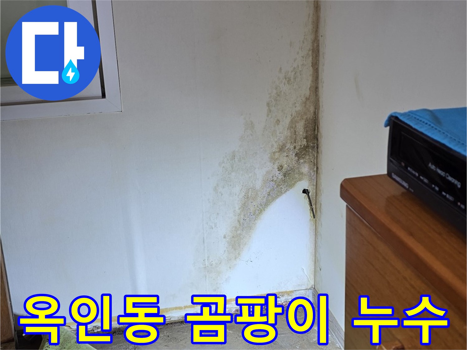 종로구 옥인동 주택 - 벽 누수로 인한 곰팡이 확산 - 긴급 점검 및 복구 작업 진행