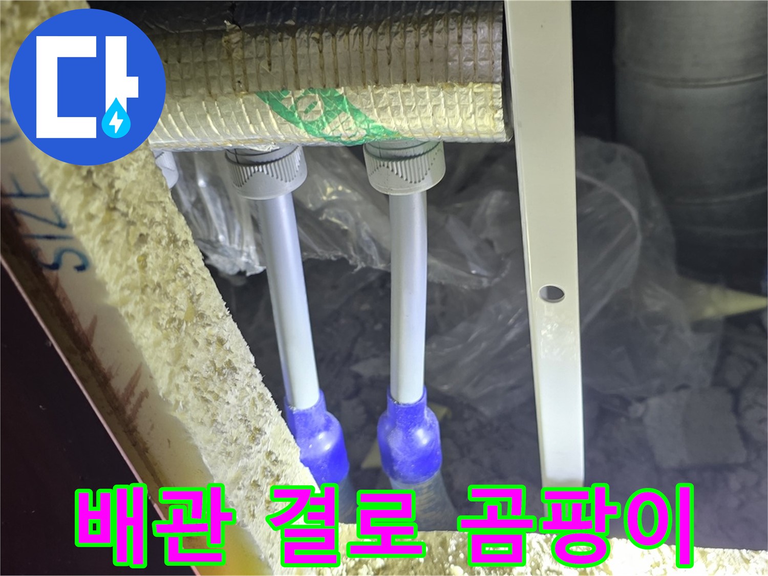 삼숭동 누수 예방 - 배관 주변 결로 발생 및 곰팡이 성장 환경 사전 점검 철저 진행