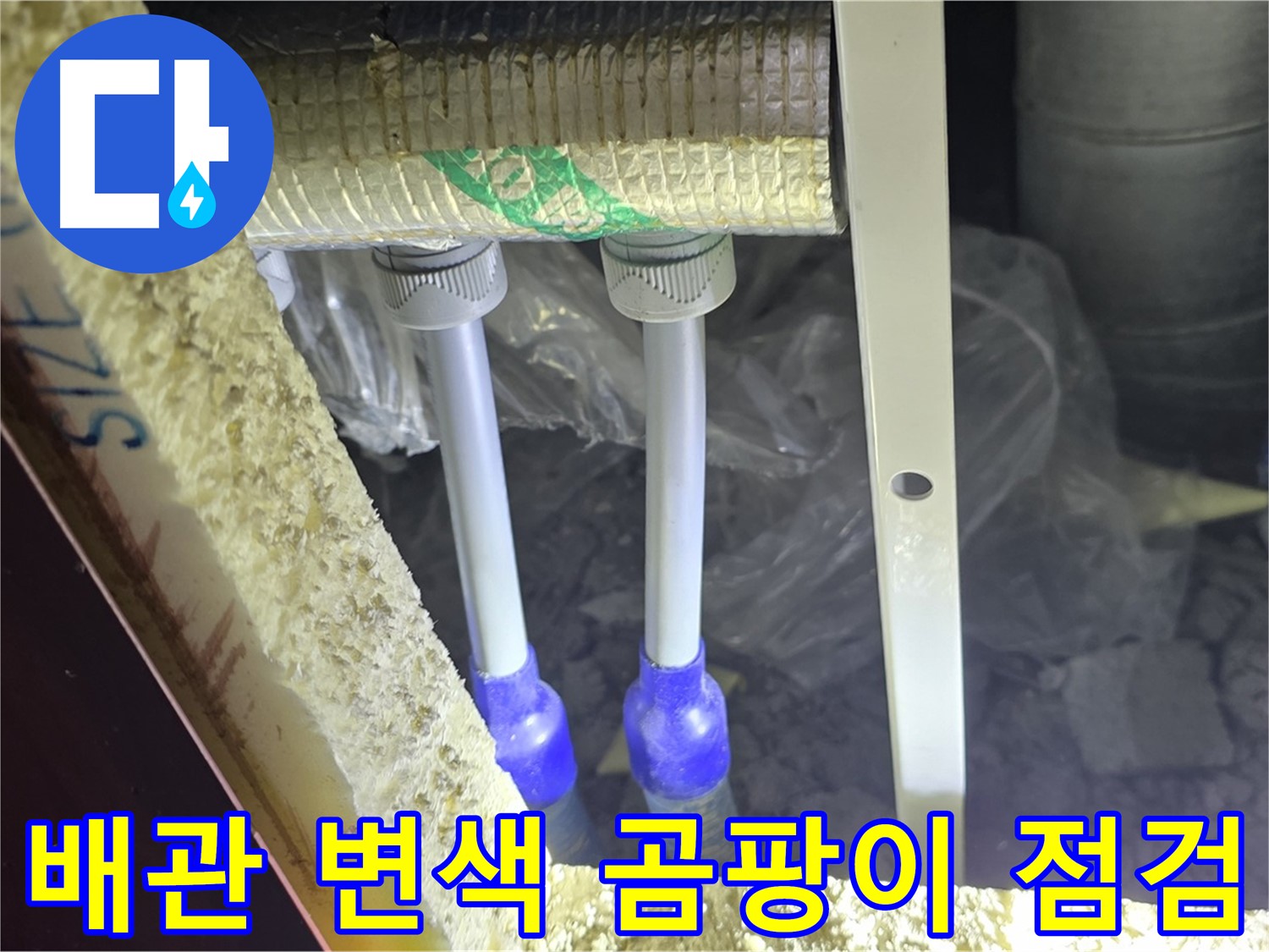삼숭동 아파트 누수 - 배관 연결 부위 주변 백시멘트 변색 및 곰팡이 발생 여부 정밀 점검
