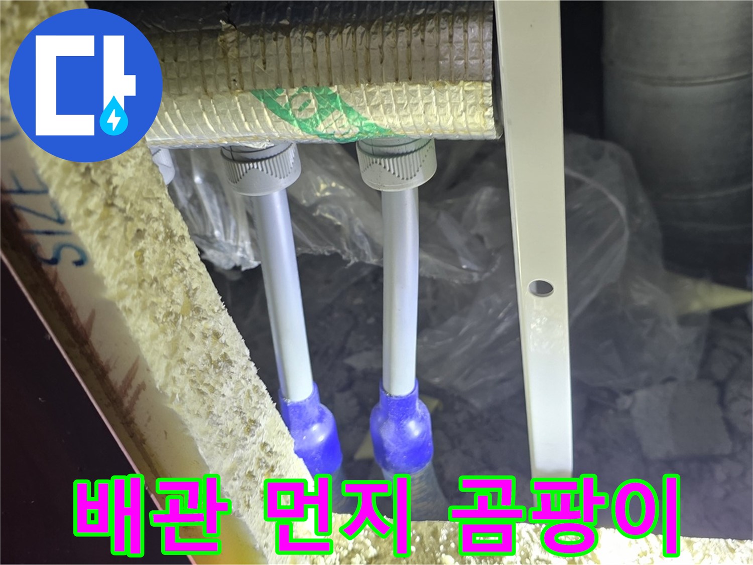 삼숭동 양주자이 누수 - 배관 연결 부속 주변 먼지 뭉침 및 곰팡이 검사