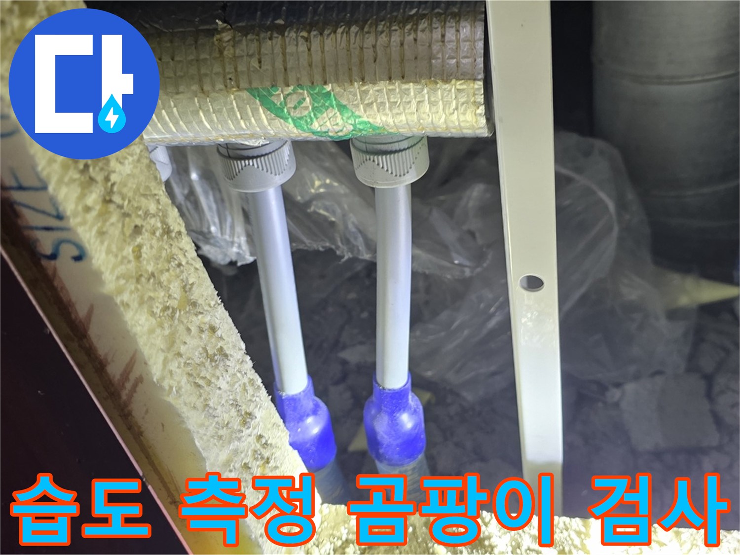 삼숭동 양주자이 누수 - 배관 주변 습기 측정 및 곰팡이 발생 부위 확대 검사