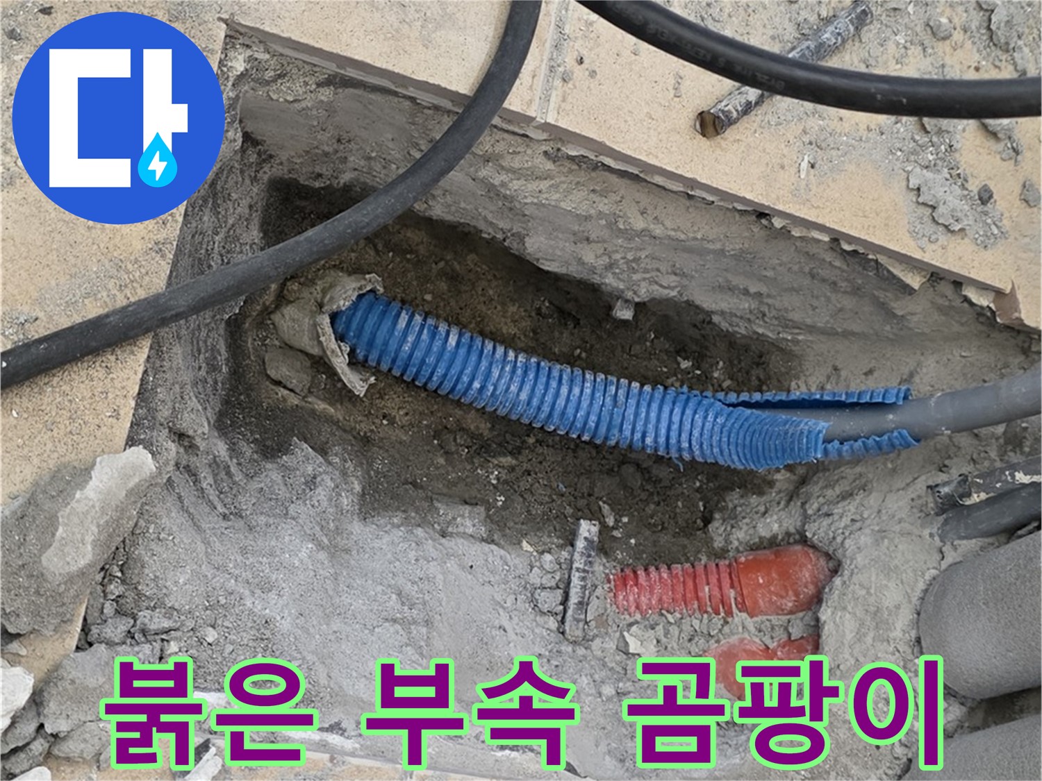 삼숭동 자이 누수 - 굴착 후 붉은색 부속과 곰팡이 핀 합판