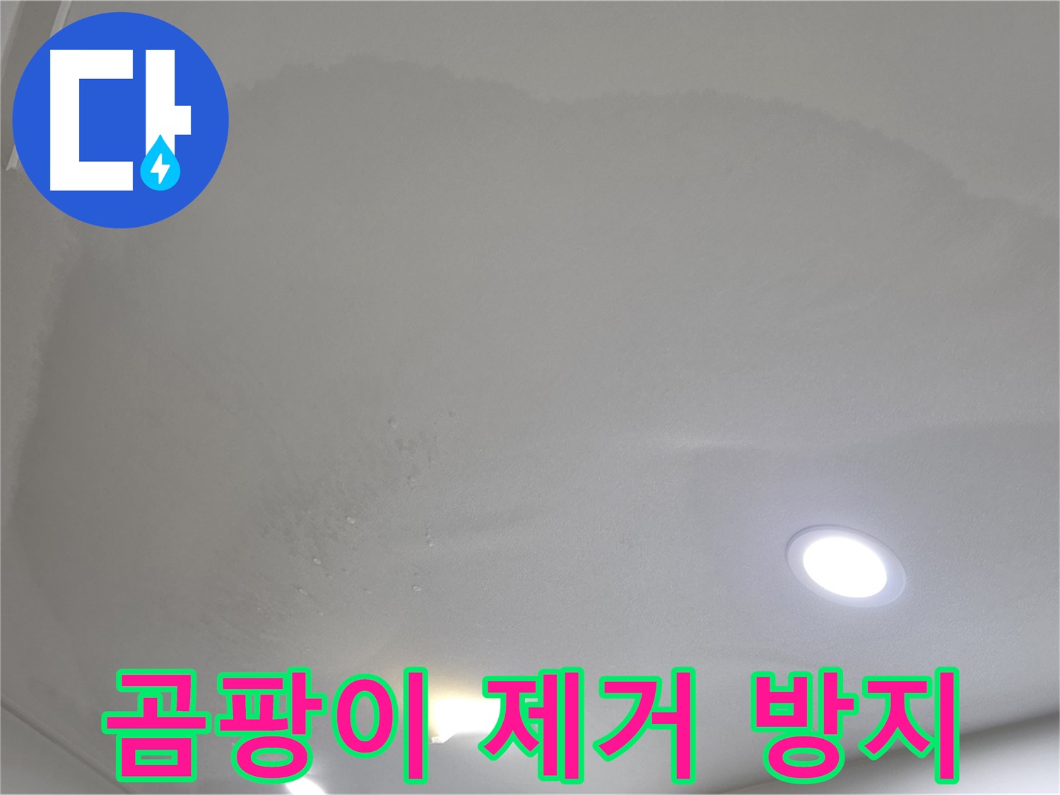 양주 누수 해결 - 곰팡이 제거 및 방지 시공