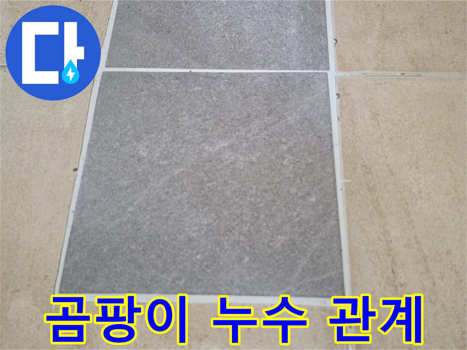 양주 삼숭동 아파트 - 교체된 타일 주변에 곰팡이가 발생하여 누수와의 관계를 분석하고 있습니다.