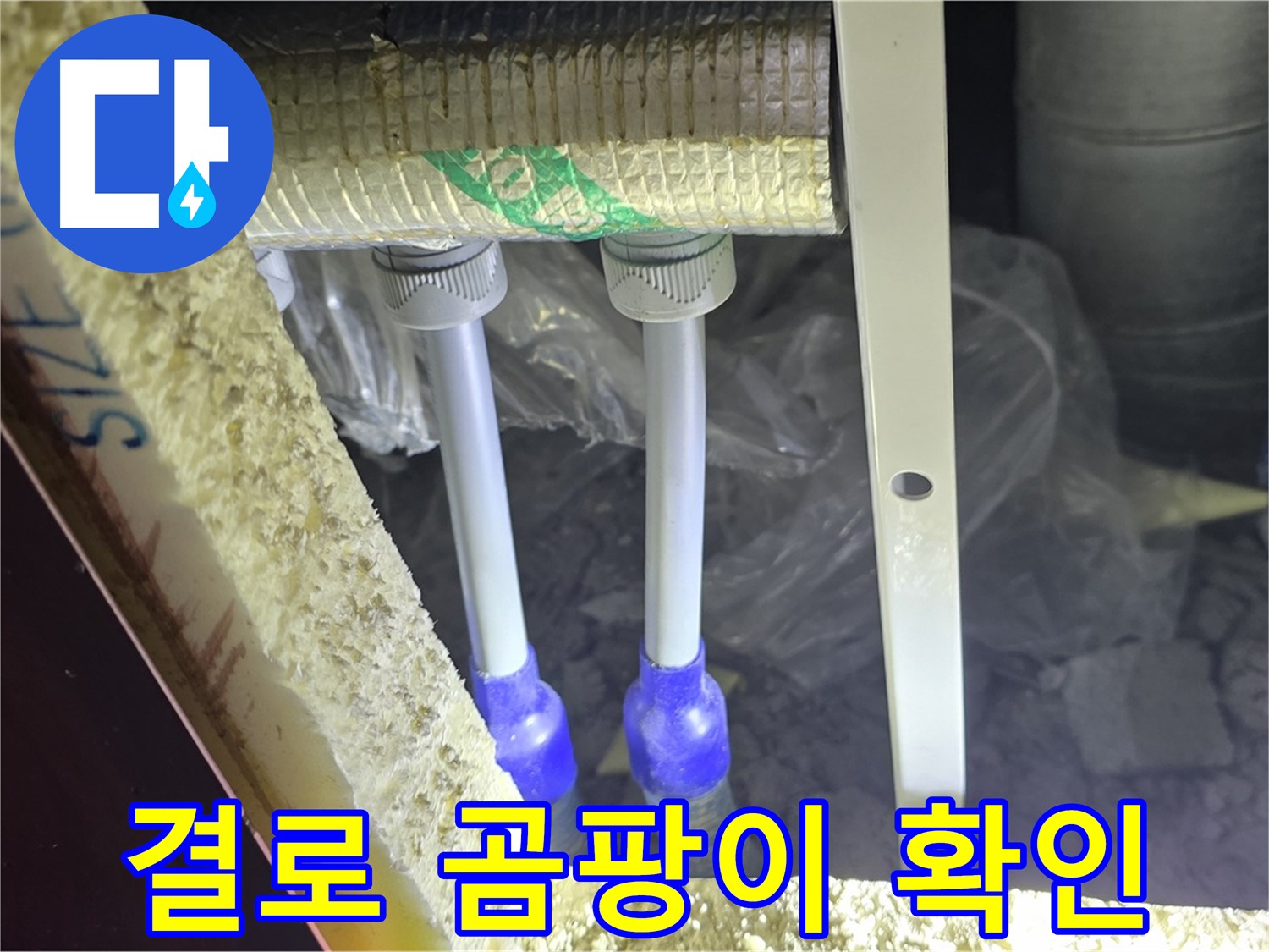 양주 삼숭동 아파트 누수 - 배관 연결 부속 주변 결로 및 곰팡이 발생 여부 집중 확인