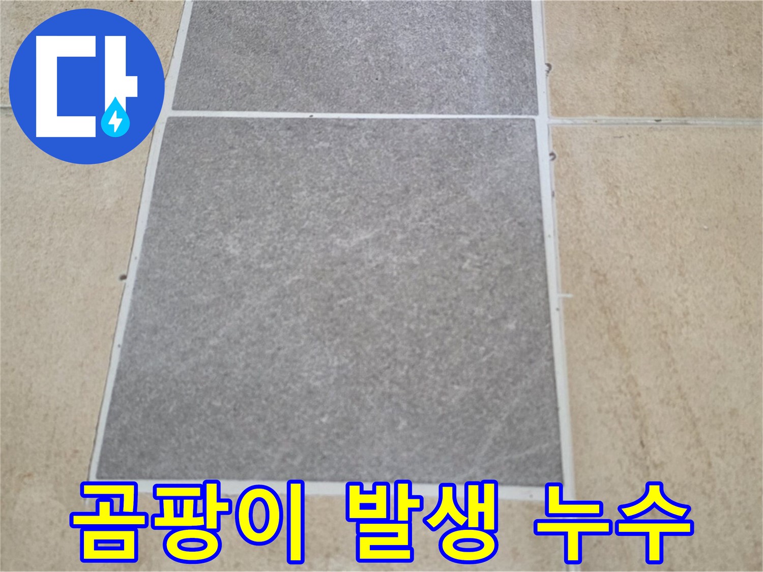 양주 삼숭동 아파트 - 타일 교체 후 곰팡이가 발생하여 누수와의 관계를 조사하고 있습니다.