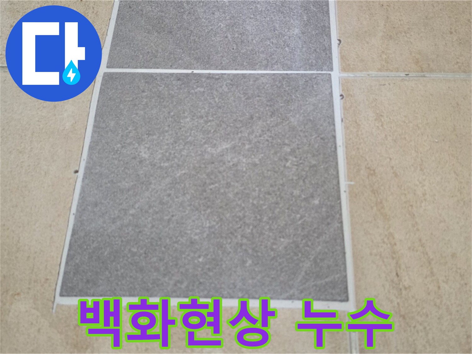 양주 삼숭동 아파트 - 타일 틈새 백화현상과 누수의 연관성을 조사하고 있습니다.