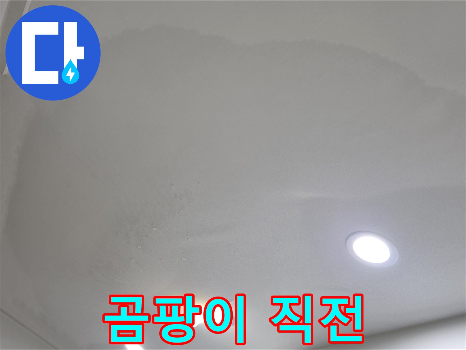 양주 삼숭동 자이 107동 - 축축한 천장 - 곰팡이 발생 직전