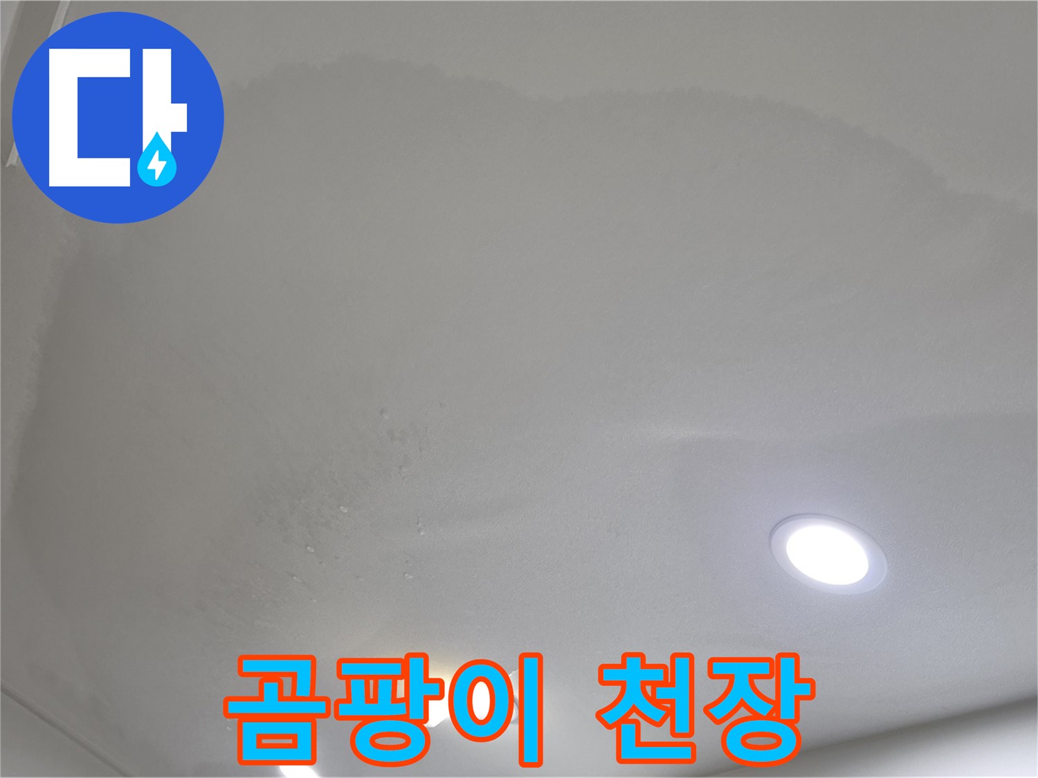 양주 삼숭동 자이 - 곰팡이 핀 천장, 건강 위협