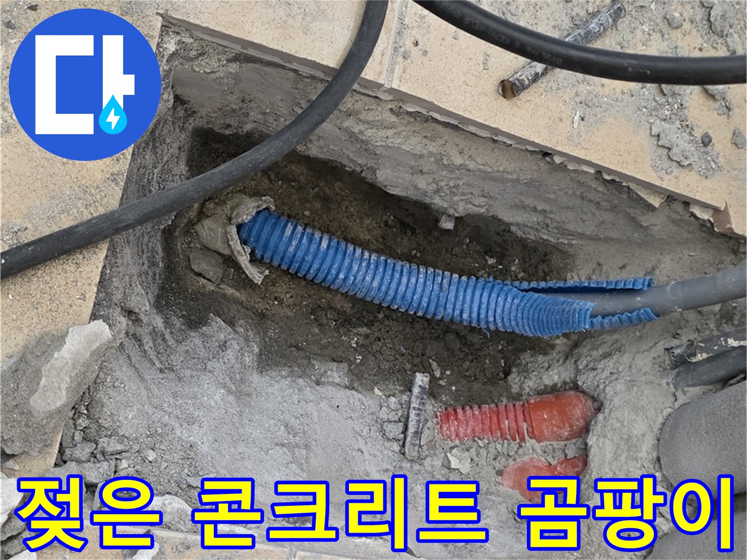 양주 삼숭동 자이아파트 누수 - 굴착 후 젖은 콘크리트와 곰팡이 핀 벽면