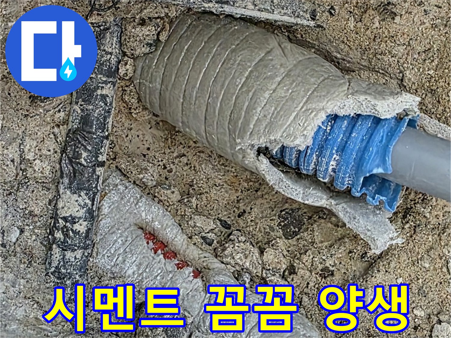 양주 삼숭동 자이아파트 누수 - 꼼꼼한 시멘트 양생으로 튼튼하게 마무리!