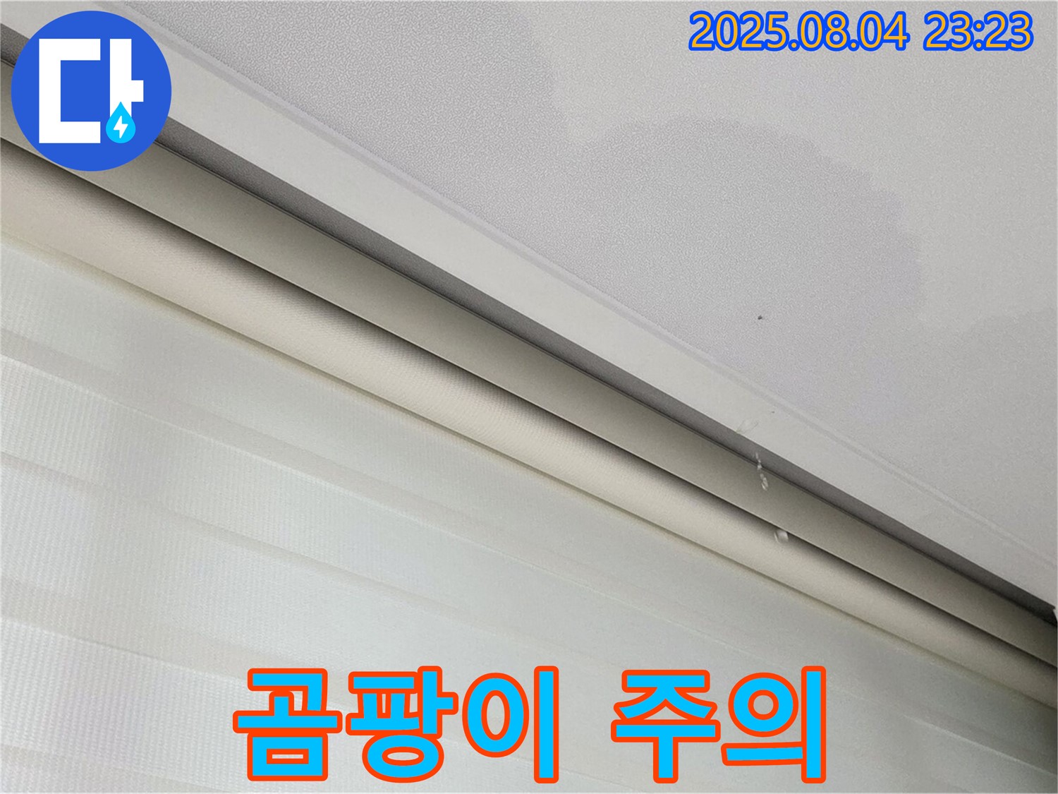 양주 삼숭동 자이아파트 누수 - 천장 얼룩, 곰팡이 발생 주의!