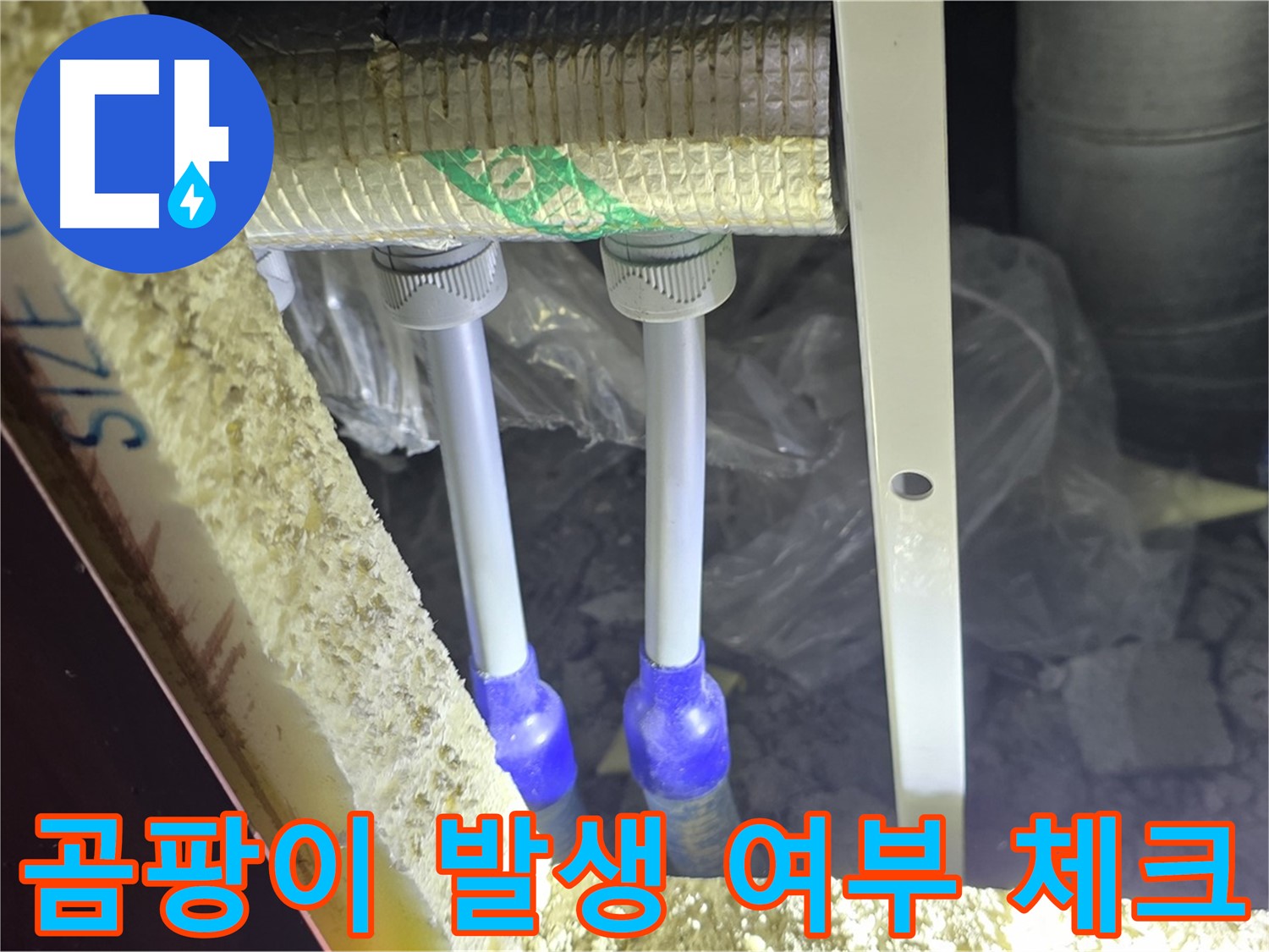 양주 아파트 누수 - 배관 주변 곰팡이 발생 여부 체크