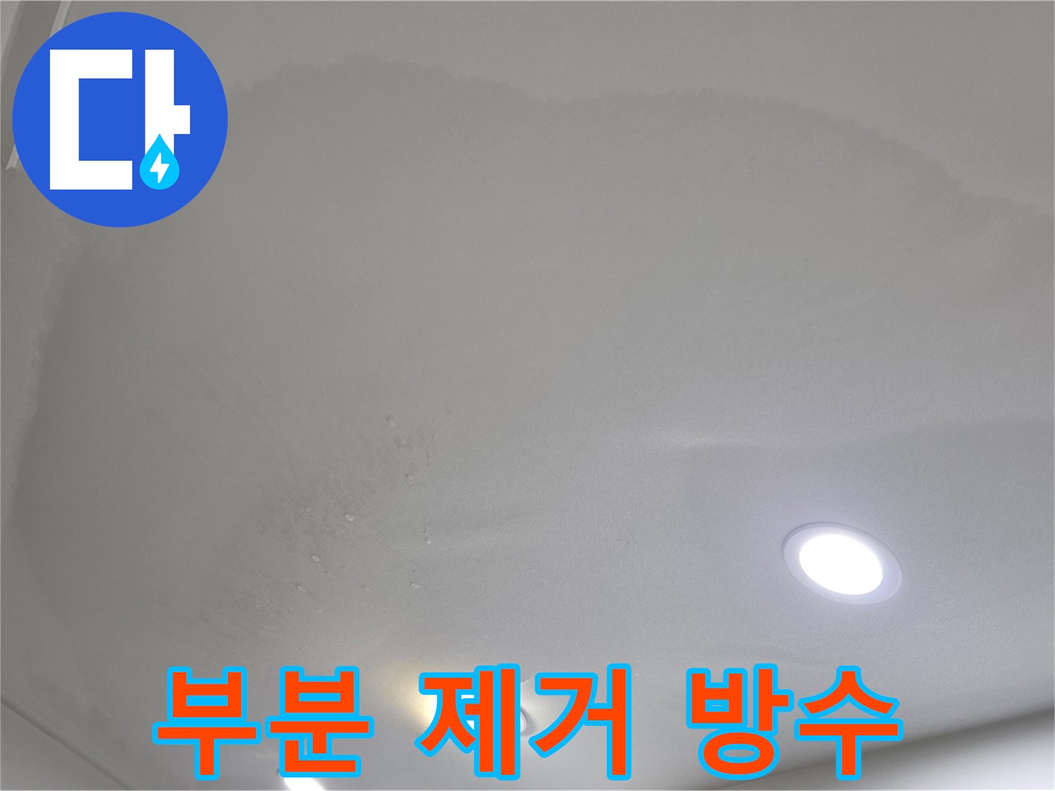 양주 천장 누수 - 곰팡이 핀 천장 - 부분 제거