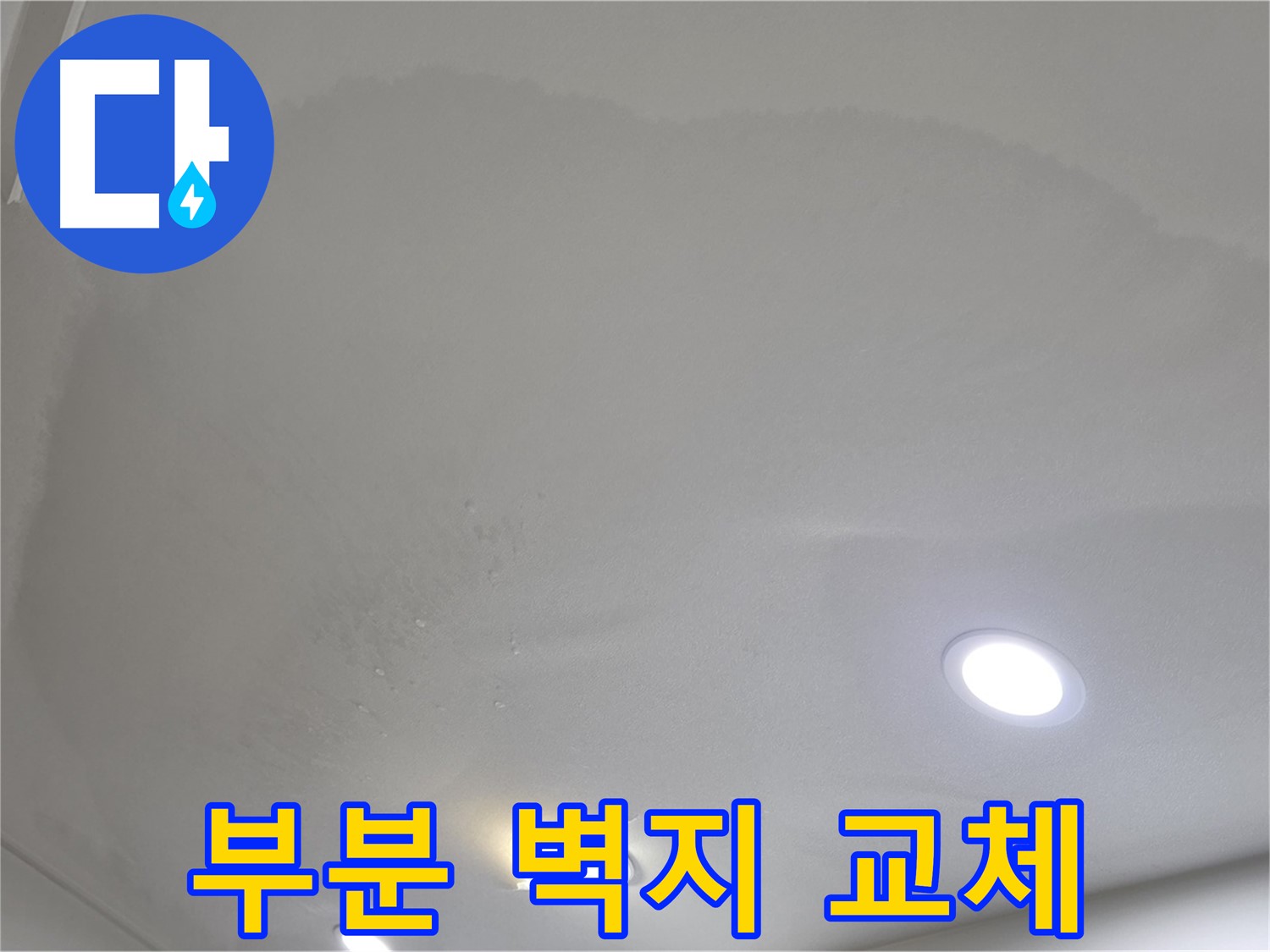 양주 천장 누수 - 젖은 벽지, 부분 교체