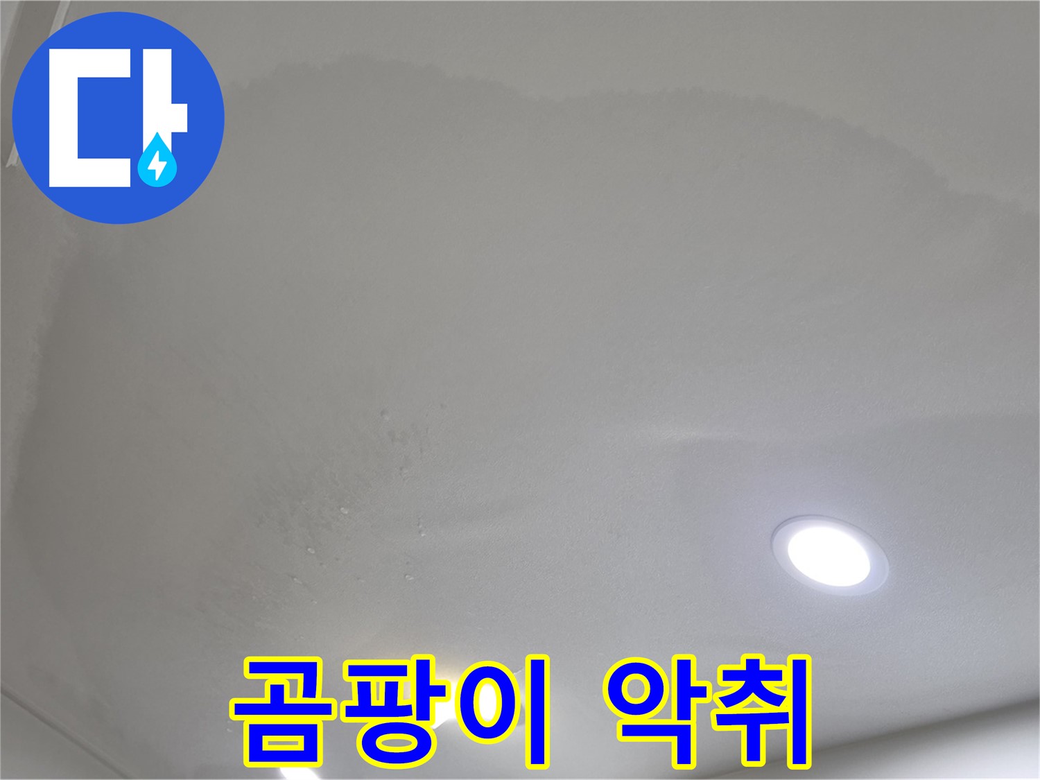 양주시 삼숭동 누수 - 곰팡이 천장 - 악취