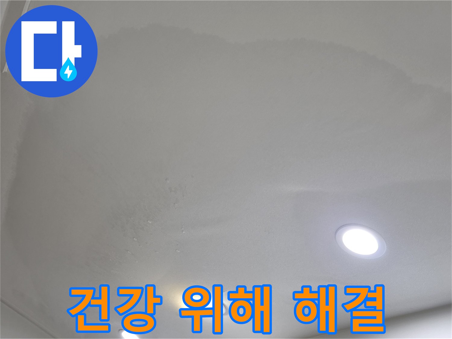 양주시 삼숭동 누수 - 곰팡이 핀 천장, 건강 위해 해결