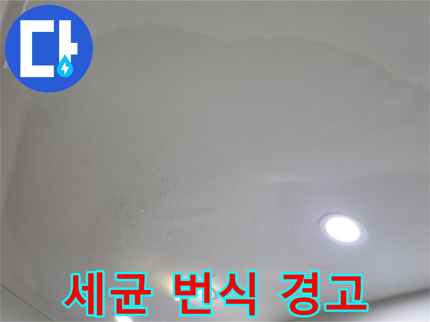 양주시 삼숭동 누수 - 얼룩 천장, 세균 번식