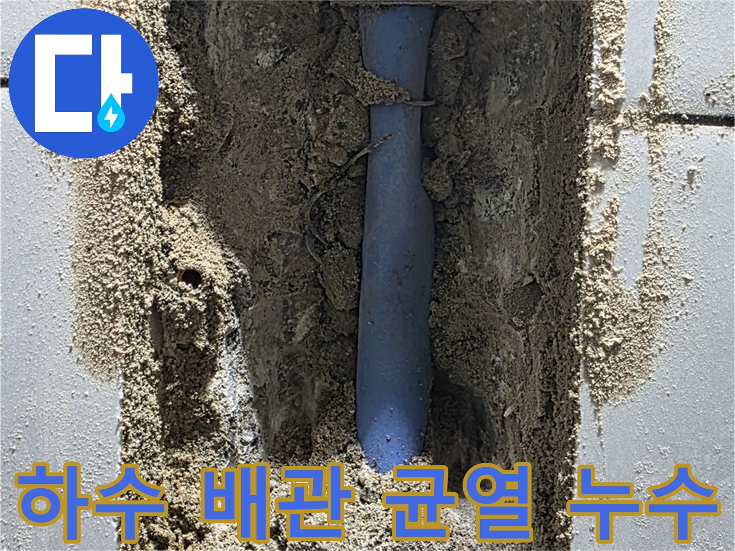 분당 금곡동 누수탐지 - 하수 배관의 미세한 균열로 인한 누수