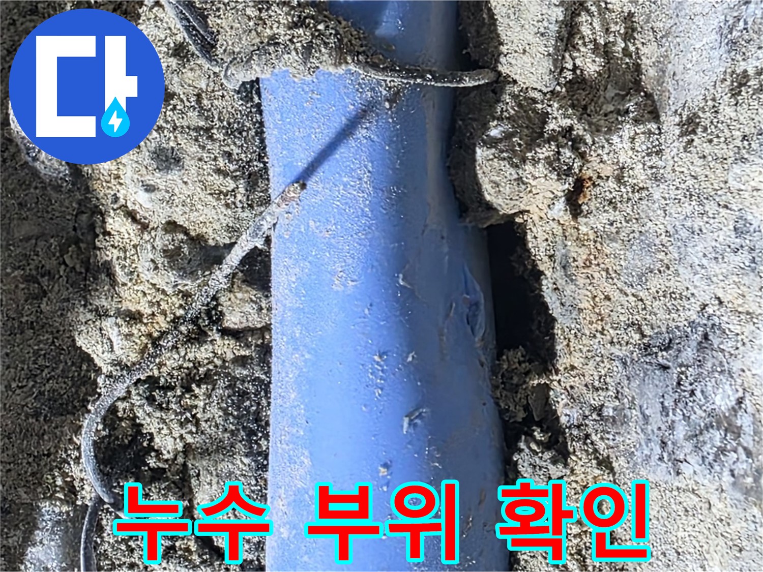분당 쇳골로 누수 - 누수가 발생한 배관 부위를 자세히 보여줍니다.